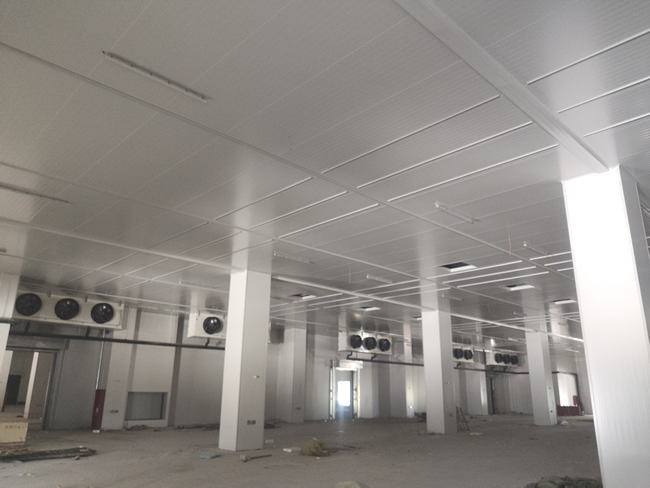 生鮮冷鏈物流冷庫設(shè)計(jì)建造要點(diǎn)