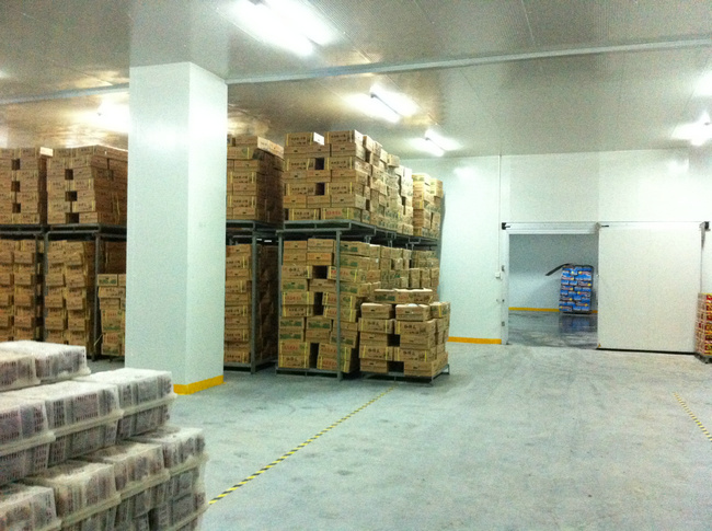 建造冷庫(kù)多少錢(qián)？影響冷庫(kù)工程造價(jià)的因素